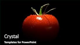 Presentation with tomato - Presentation theme having tomato on black background background and a black colored foreground