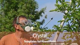  Presentation with agriculture farm machinery spraying insecticide - Slide deck featuring tomato pest - man spraying tree background and a red colored foreground