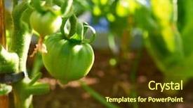  Presentation with urban green - Beautiful slide deck featuring tomato plant in an orchard backdrop and a tawny brown colored foreground