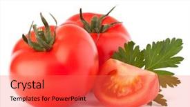  Presentation with tomato - Cool new theme with tomato vegetables and parsley leaves backdrop and a  colored foreground