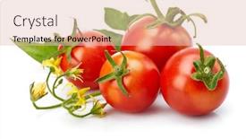  Presentation with food label - Slide deck with tomato-with-leaf-for-packaging background and a lemonade colored foreground