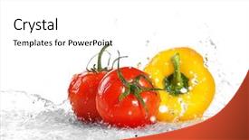  Presentation with fresh water - Cool new slide deck with tomatoes in splashing water backdrop and a  colored foreground