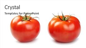  Presentation with octopus on isolated white - Amazing presentation having simple bachground light colour agticulture - two tomatoes isolated on white backdrop and a white colored foreground