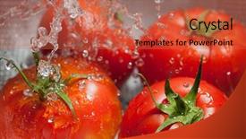  Presentation with tomato - Audience pleasing PPT theme consisting of tomatoes on a colander backdrop and a red colored foreground