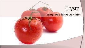  Presentation with fresh water - Slide set enhanced with tomatoes on branch with dew background and a lemonade colored foreground