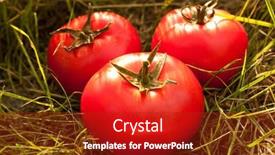  Presentation with foods - 