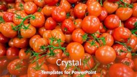  Presentation with supermarket - Slide deck with tomatoes-on-the-supermarket-display background and a crimson colored foreground