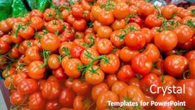  Presentation with supermarket - PPT theme having tomatoes-on-the-supermarket-display background and a crimson colored foreground
