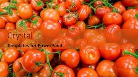  Presentation with supermarket - Cool new presentation theme with tomatoes-on-the-supermarket-display backdrop and a red colored foreground