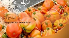  Presentation with market - Beautiful PPT theme featuring tomatoes-street-market-in-salles backdrop and a gold colored foreground