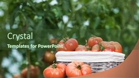  Presentation with vegetable garden - 