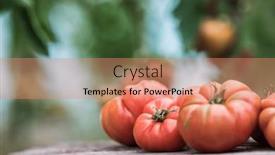  Presentation with vegetable garden - Slides consisting of tomatoes-vegetable-garden-organic-products background and a coral colored foreground