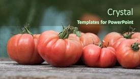  Presentation with vegetable garden - 