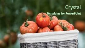  Presentation with vegetable garden - 