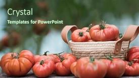  Presentation with vegetable garden - 