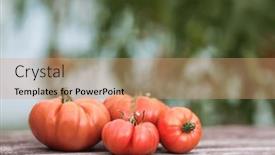  Presentation with vegetable garden - 