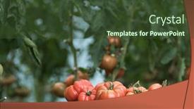  Presentation with vegetable garden - 