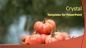  Presentation with vegetable garden - 