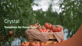  Presentation with vegetable garden - 