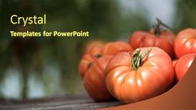  Presentation with vegetable garden - PPT theme consisting of tomatoes-vegetable-garden-organic-products background and a tawny brown colored foreground