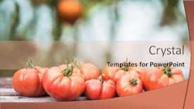  Presentation with vegetable garden - 