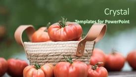  Presentation with vegetable garden - 