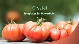  Presentation with vegetable garden - 