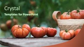  Presentation with vegetable garden - 