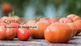  Presentation with vegetable garden - 