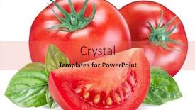  Presentation with tomato - Audience pleasing presentation design consisting of tomatoes-with-basil-leaves backdrop and a coral colored foreground