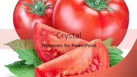  Presentation with tomato - Colorful presentation theme enhanced with tomatoes-with-leaves-and-tomato backdrop and a coral colored foreground