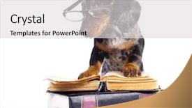  Presentation with book glasses - PPT theme featuring tome - dachshund puppy in glasses background and a  colored foreground