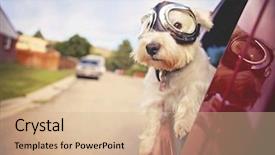  Presentation with vintage car - Audience pleasing slide set consisting of toned with a retro vintage backdrop and a lemonade colored foreground