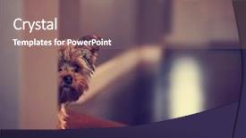  Presentation with cracked concrete vintage wall - Beautiful slide deck featuring toned with a retro vintage backdrop and a gray colored foreground