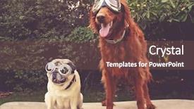  Presentation with retro television old vintage tv - PPT theme consisting of toned with a vintage background and a violet colored foreground