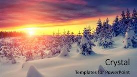  Presentation with solar tree evening landscape - Amazing slides having toning effect happy new year backdrop and a coral colored foreground