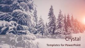  Presentation with happy new year - Audience pleasing PPT theme consisting of toning effect happy new year backdrop and a lemonade colored foreground