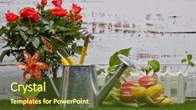  Presentation with light roses - Slide set with tools watering can young sprout background and a tawny brown colored foreground