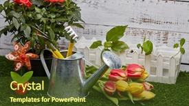  Presentation with light roses - Colorful presentation design enhanced with tools watering can young sprout backdrop and a tawny brown colored foreground