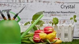  Presentation with gardening tools on fertile soil - Presentation design featuring tools watering can young sprout background and a light gray colored foreground