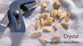  Presentation with teeth - Amazing slide set having tooth extraction - 18 extracted human teeth backdrop and a  colored foreground