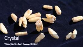  Presentation with teeth - Presentation enhanced with tooth extraction - 18 extracted human teeth background and a  colored foreground