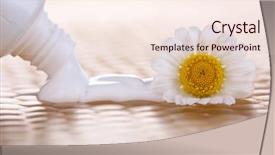  Presentation with toothpaste - Slides with tooth extraction - toothpaste squeezed from tube chamomile background and a sky blue colored foreground