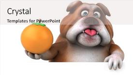  Presentation with fun - Slide deck featuring tooth mascot - fun bulldog - 3d illustration background and a lemonade colored foreground