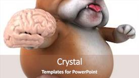  Presentation with high tech illustration - Slides enhanced with tooth mascot - fun bulldog - 3d illustration background and a red colored foreground