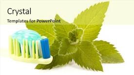  Presentation with toothpaste - Slides enhanced with toothbrush toothpaste and fresh leaves background and a yellow colored foreground