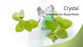  Presentation with toothpaste - Audience pleasing PPT theme consisting of toothbrush with toothpaste and fresh backdrop and a white colored foreground