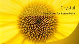  Presentation with yellow - Colorful presentation design enhanced with top-closeup-of-a-yellow backdrop and a gold colored foreground