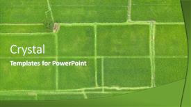 Presentation with rice paddy - Slide deck having top down aerial view of rice paddy fields in bali indonesia background and a tawny brown colored foreground