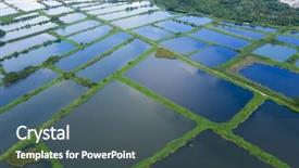  Presentation with hatchery - Cool new theme with top down of fish hatchery backdrop and a ocean colored foreground